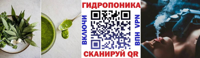 Купить закладки  Астрахань  Печенье с ТГК конопля 
